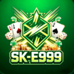 SK-E999 Game