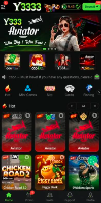 Y333 Game