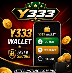 Y333 Game
