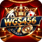 WGS456 Game