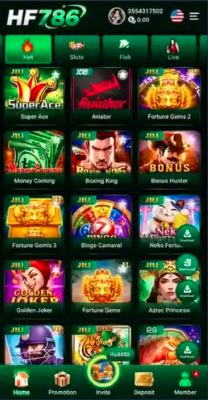 HF786 Game