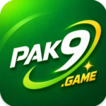 PAK9 Game